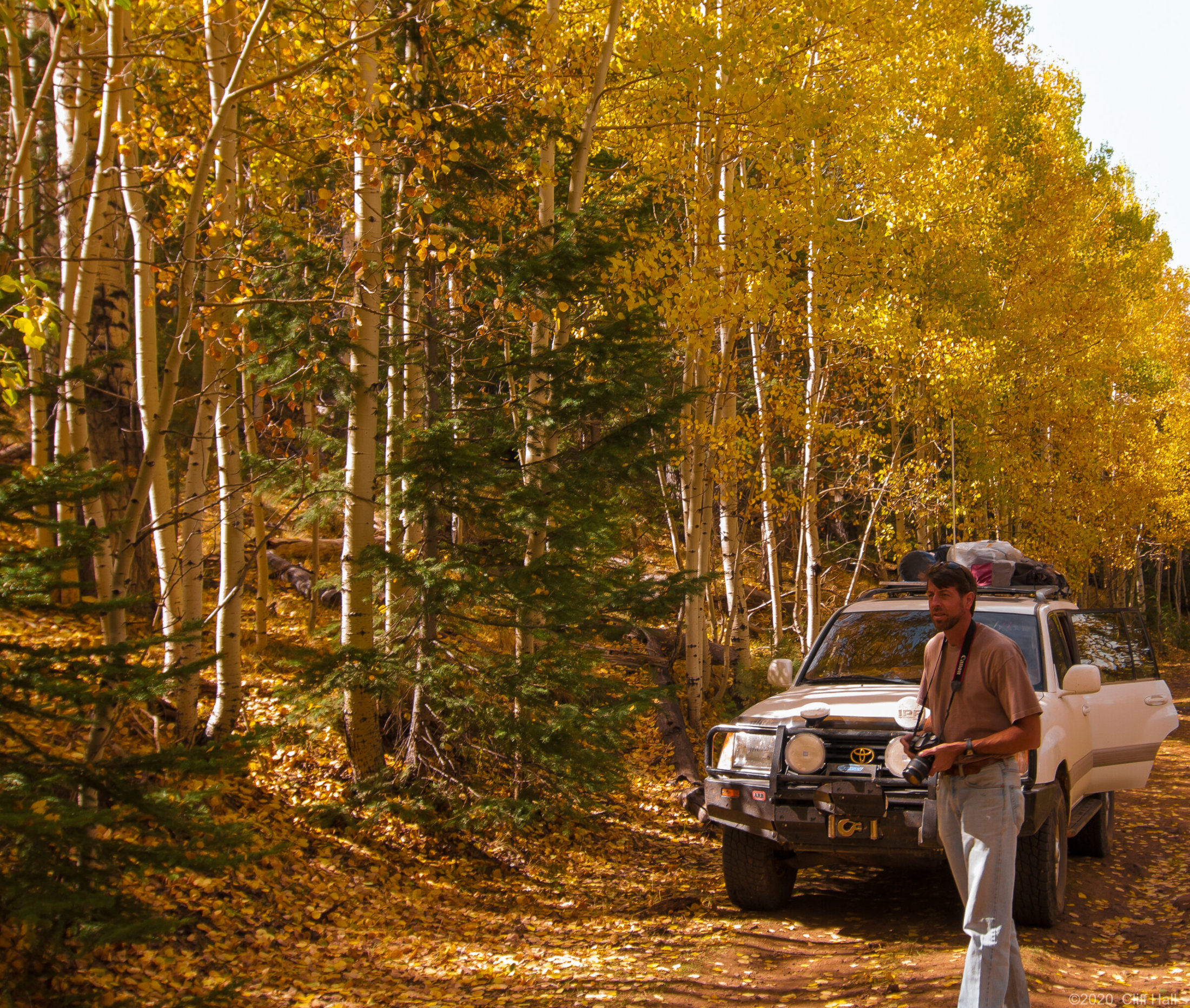 Steve looking for fall colors