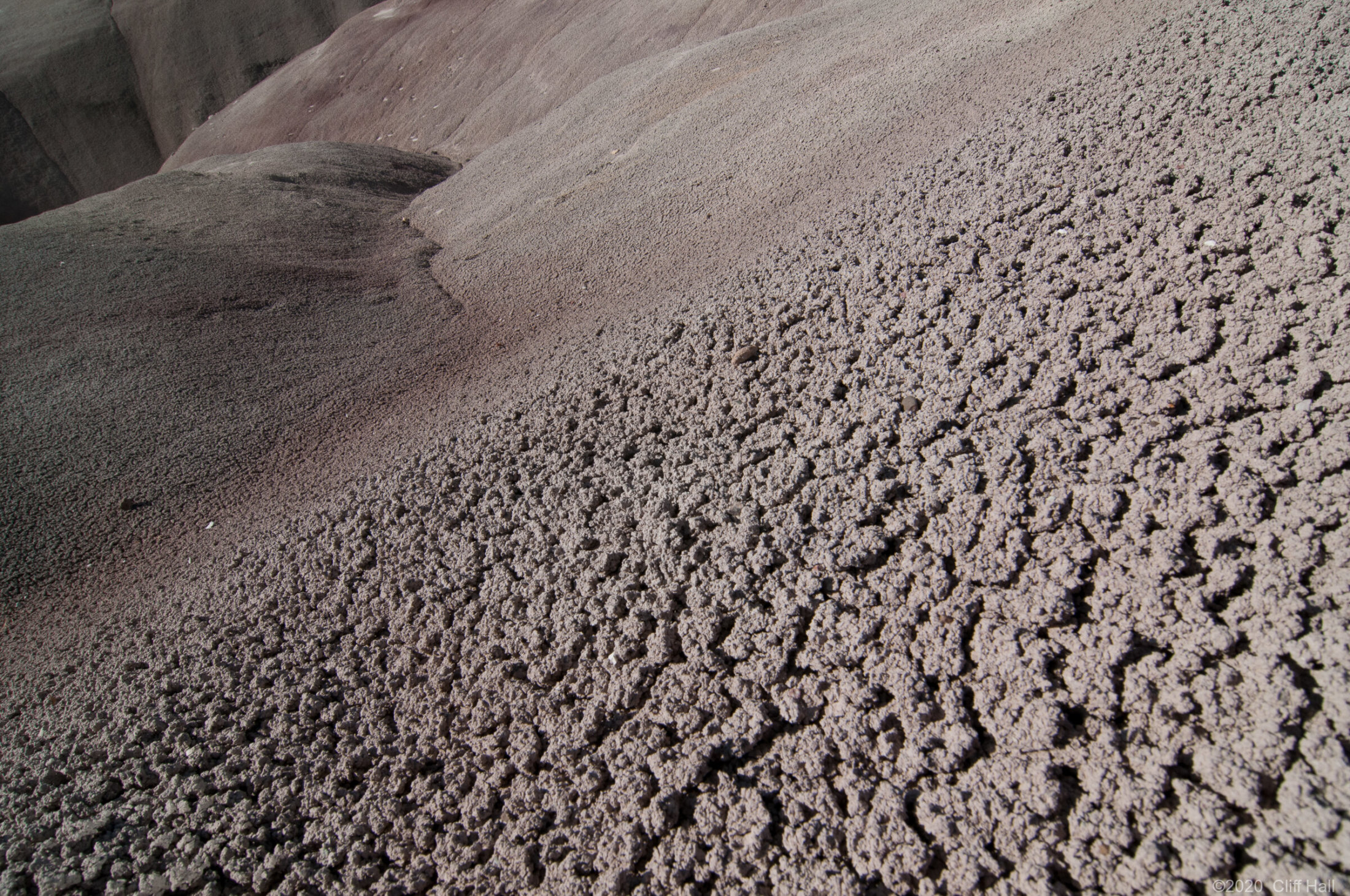 Bentonite Clay