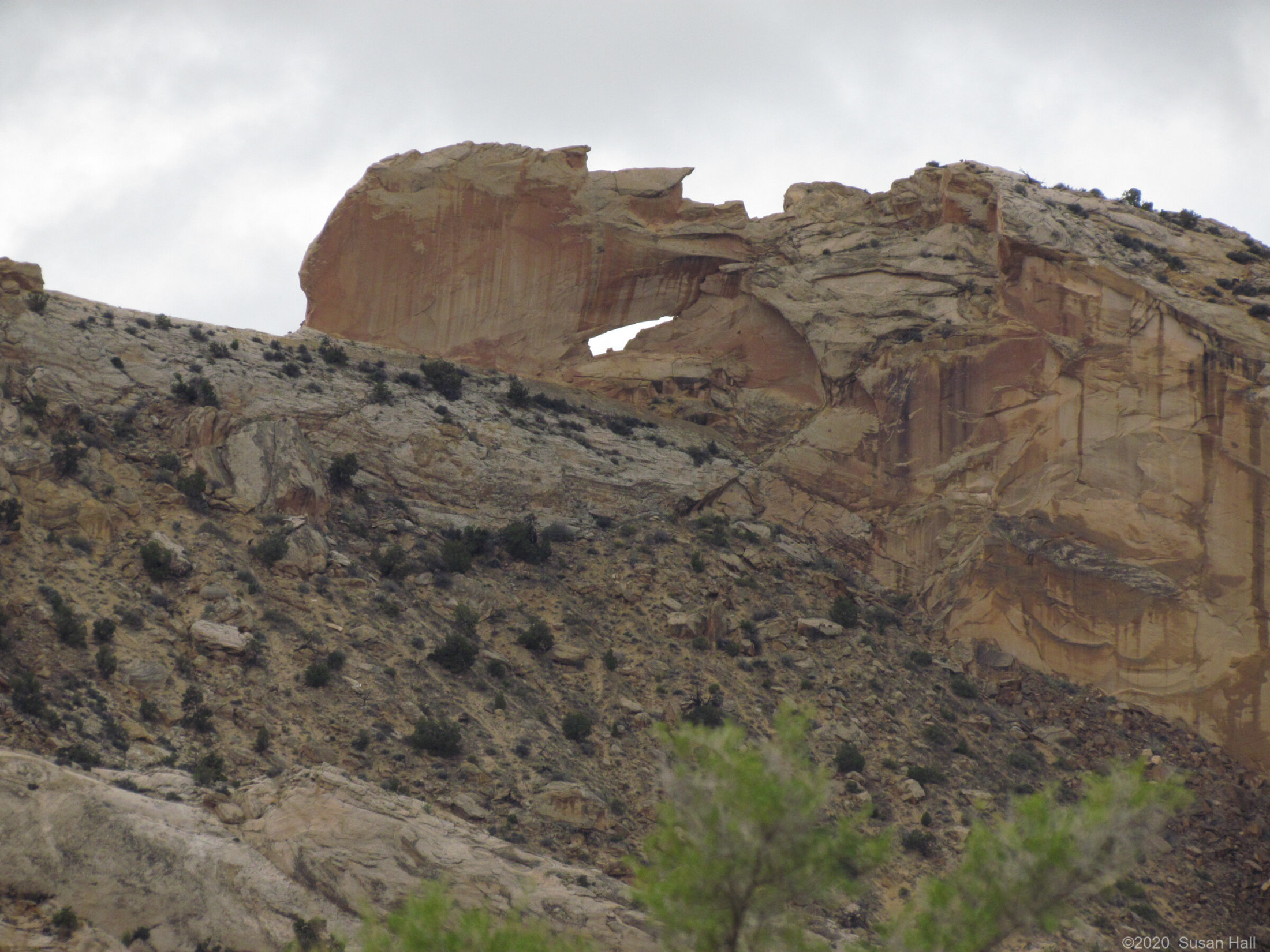 While I was digging Susan took photo of an arch
