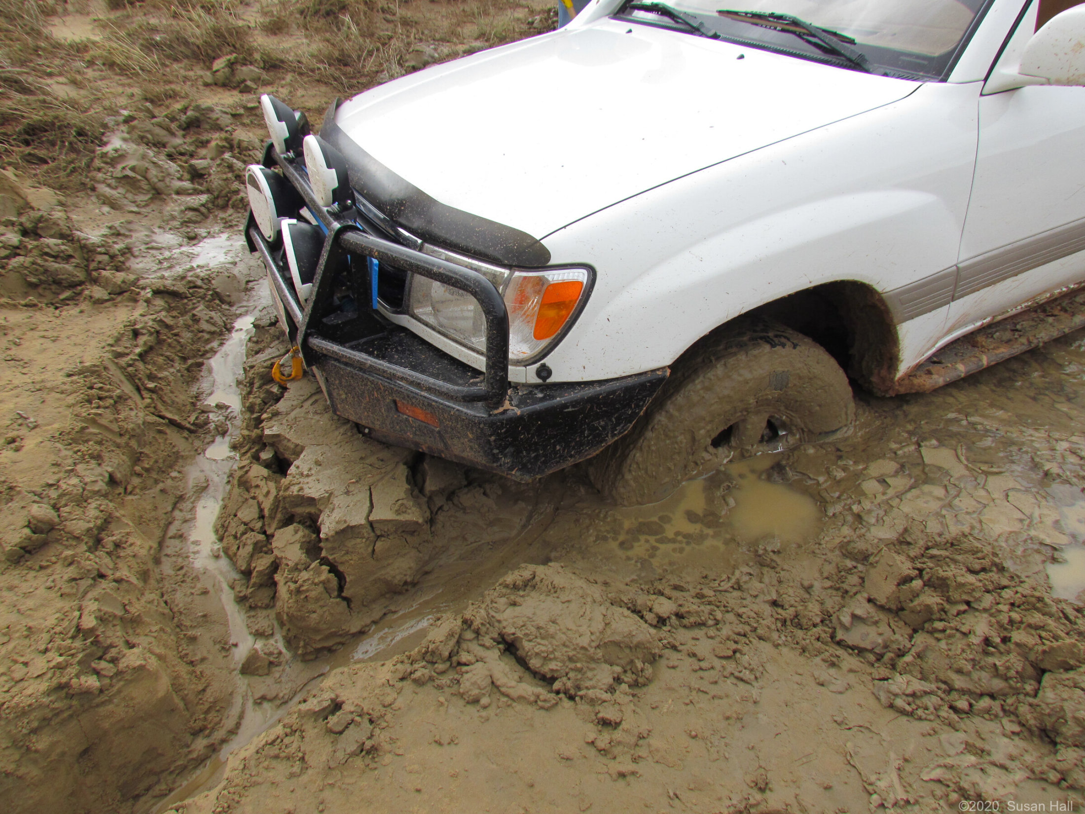 Dug a ditch to drain the swamp