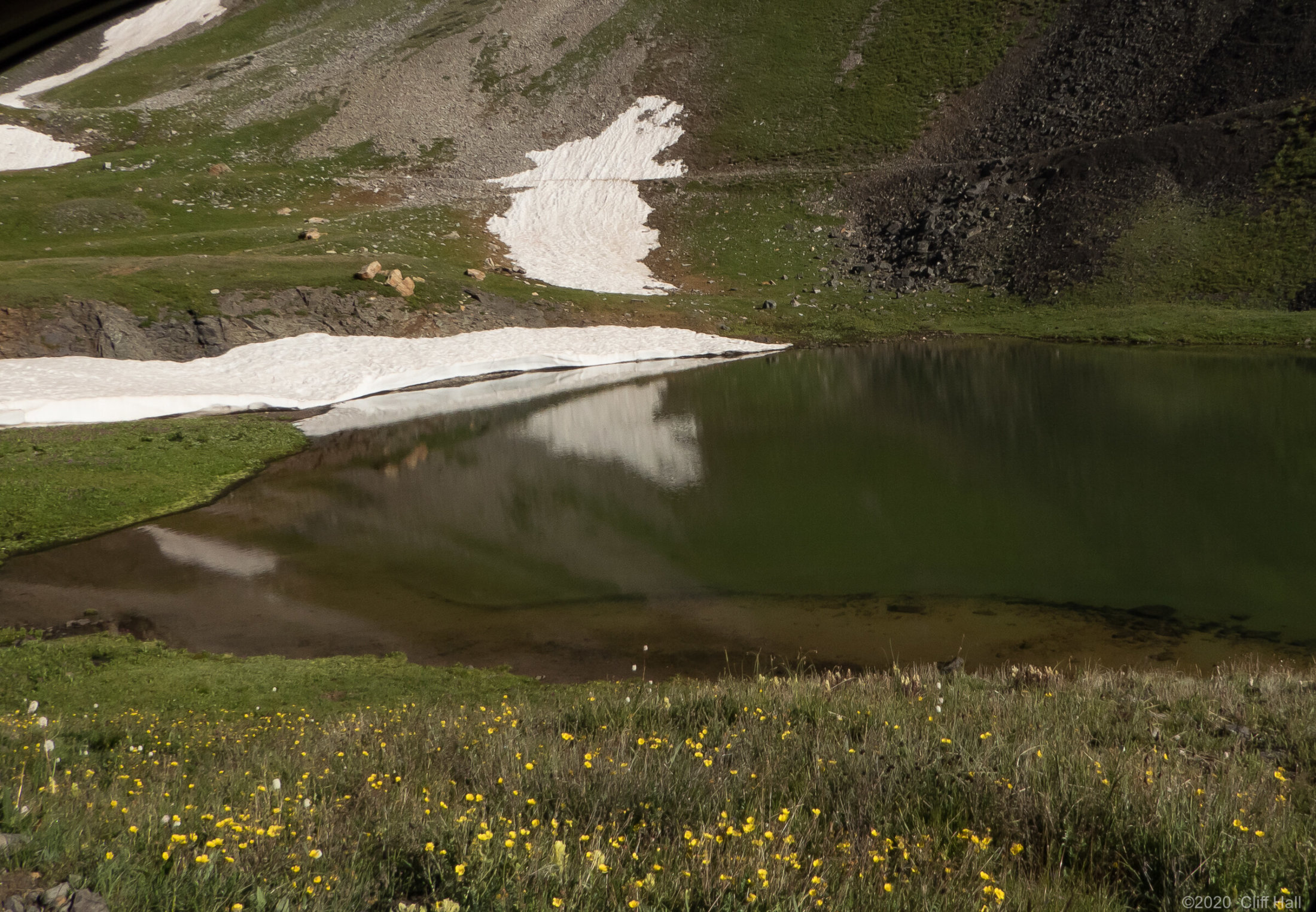 Alpine Spring, wildflowers and snow