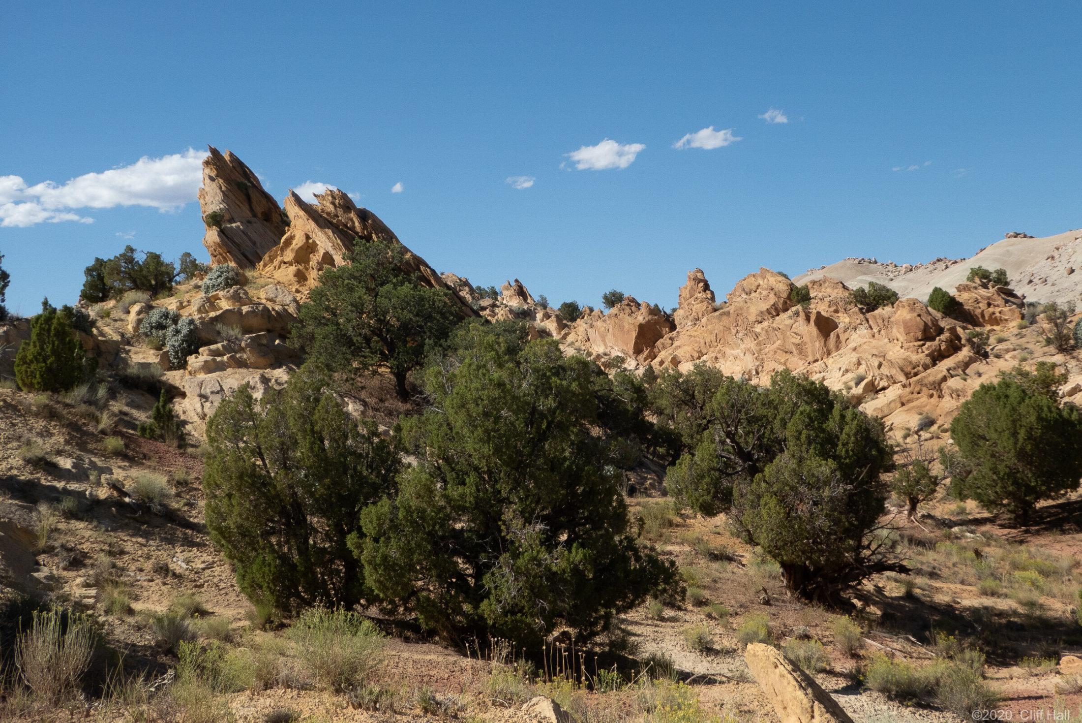 View from Notum Road